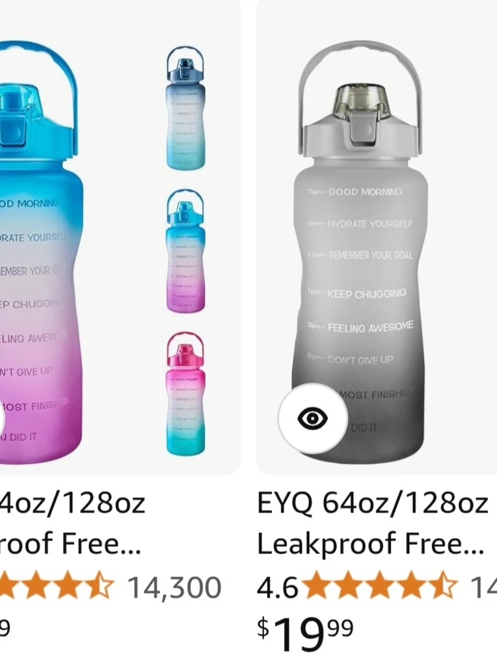 Hydration Motivational Water Bottle with Paracord Handle - Gray
